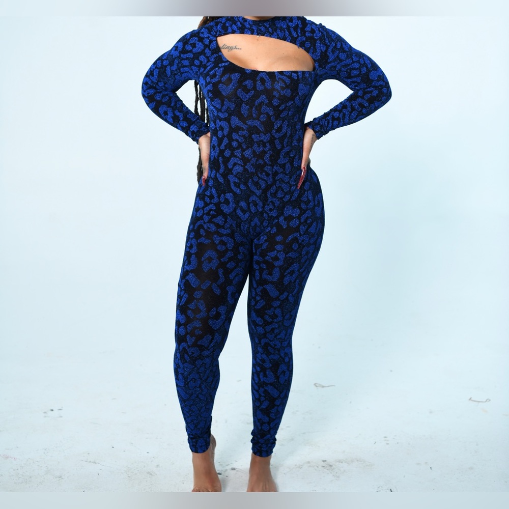 Shane justin Shimmer body suit
